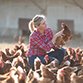 poultry-farming-instagram2